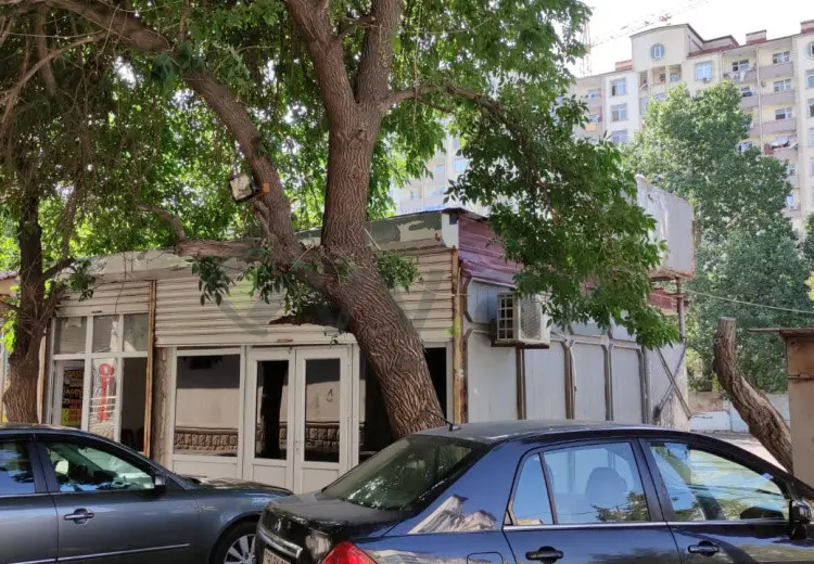 50 m² Obyekt / Ofis Satılır, Montin qəs., Nərimanov, Bakı
