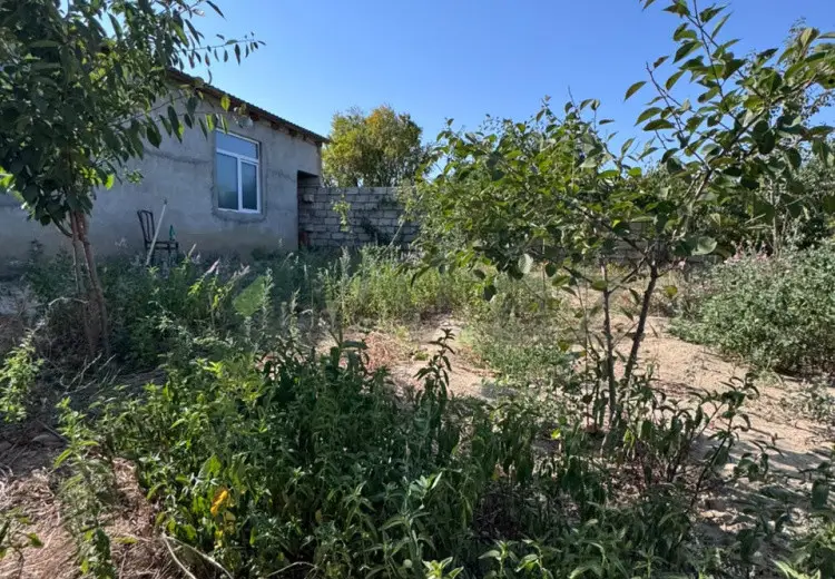 1 otaqlı mənzil Satılır, Albalı qəs., Sabunçu, Bakı