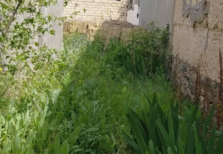 3 sot Torpaq Satılır, Gəncə