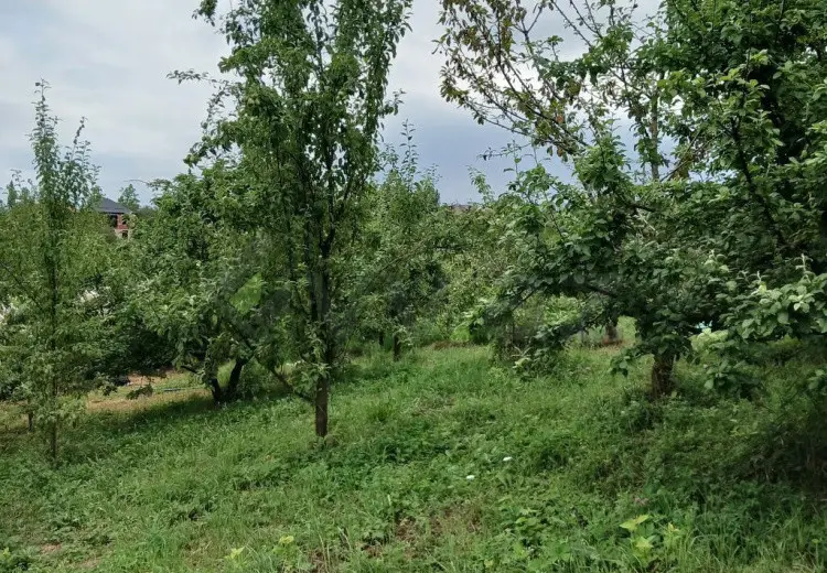 3 sot Torpaq Satılır, Qusar