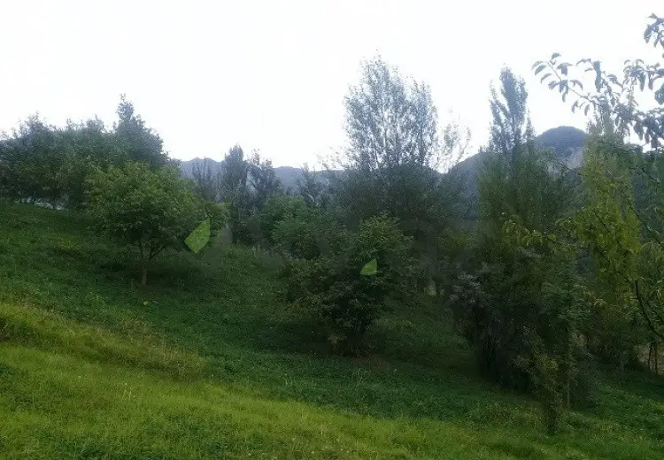 16 sot Torpaq Satılır, İsmayıllı
