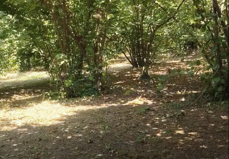 4 otaqlı mənzil Satılır, Xaçmaz