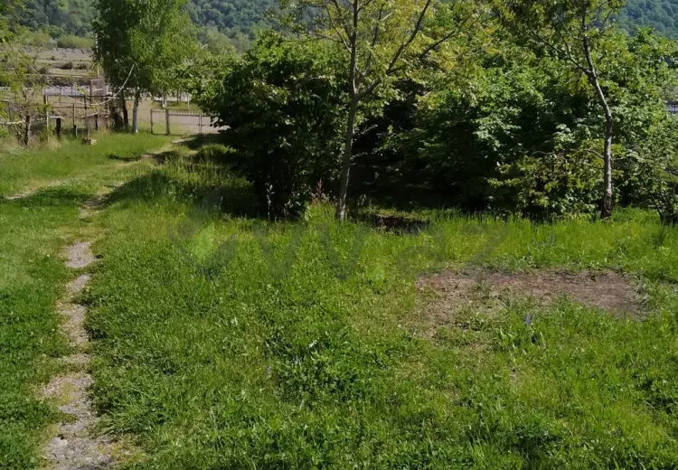 18 sot Torpaq Satılır, Balakən