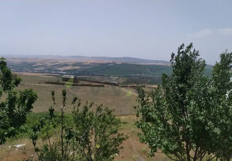 10 sot Torpaq Satılır, Şamaxı