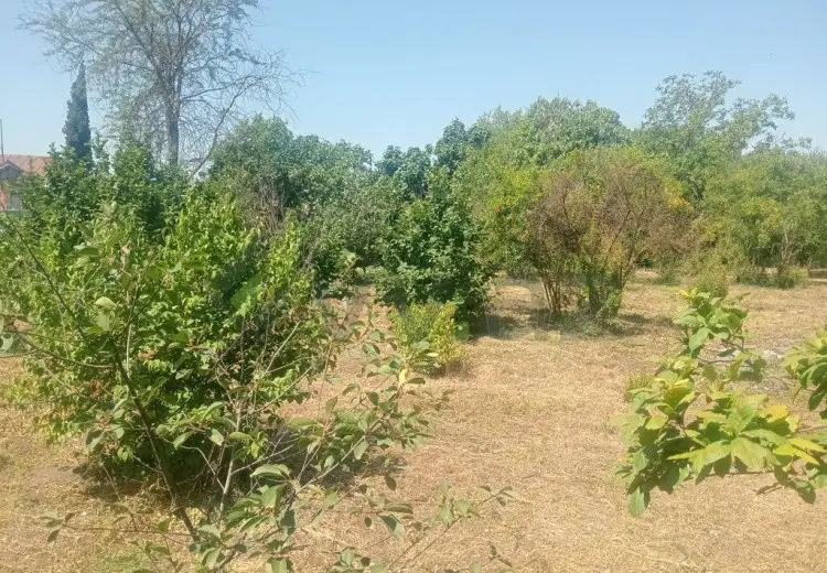 10 sot Torpaq Satılır, Bərdə