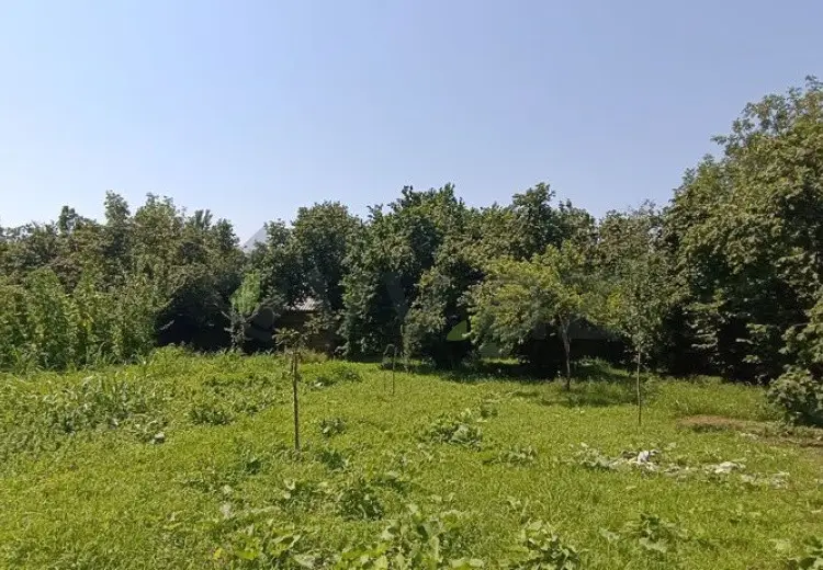 15 sot Torpaq Satılır, Qəbələ