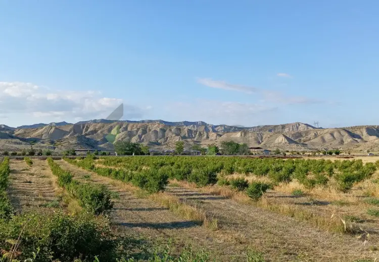 200 sot Torpaq Satılır, Göyçay