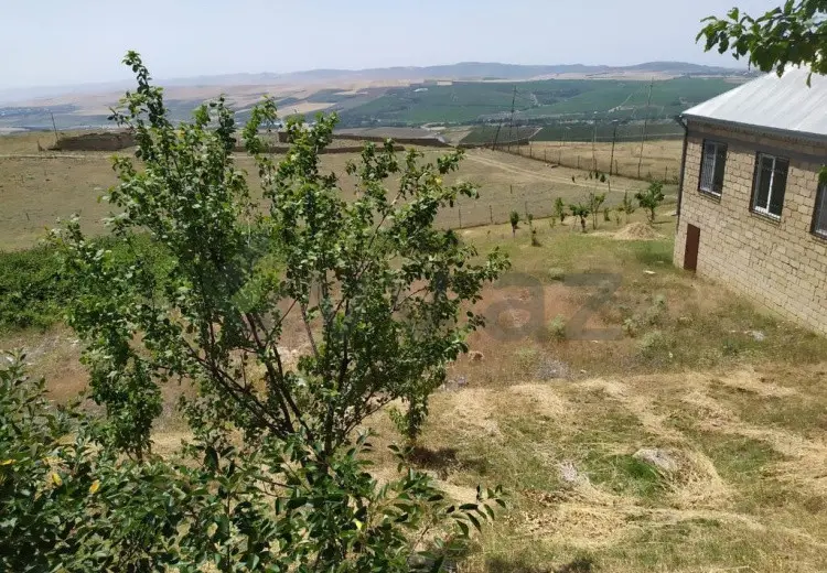 10 sot Torpaq Satılır, Şamaxı