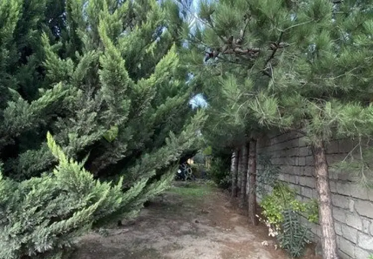 12 sot Torpaq Satılır, Albalı qəs., Sabunçu, Bakı