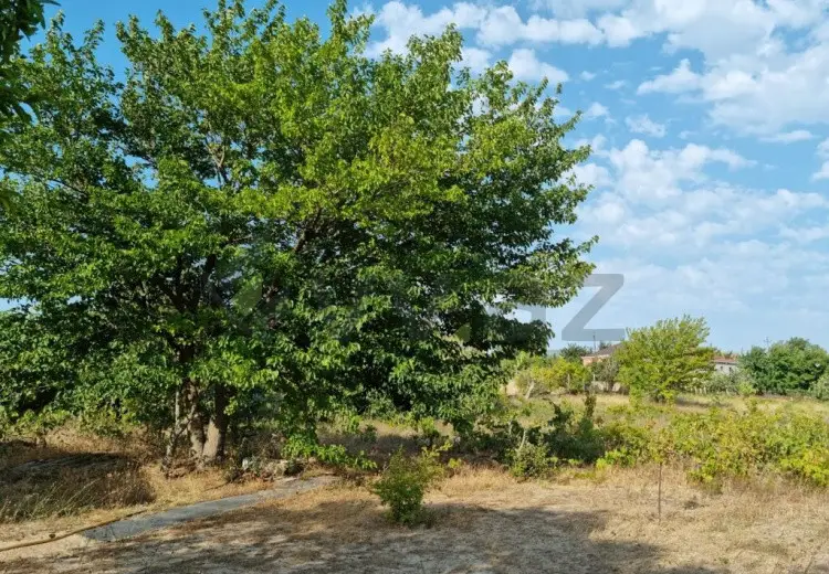 34 sot Torpaq Satılır, Qurd dərəsi, Sumqayıt