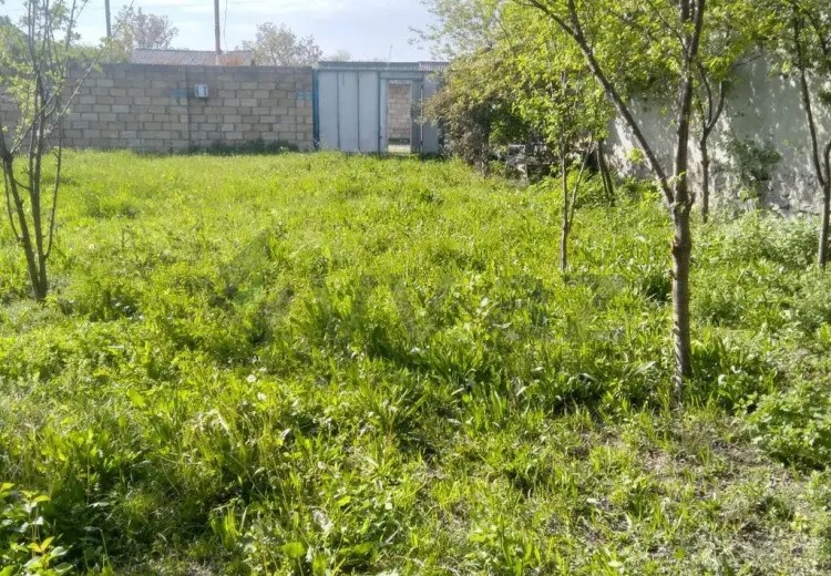 10 sot Torpaq Satılır, Qax