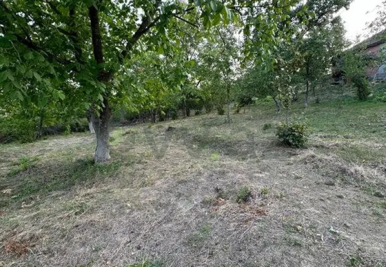 22 sot Torpaq Satılır, Şabran