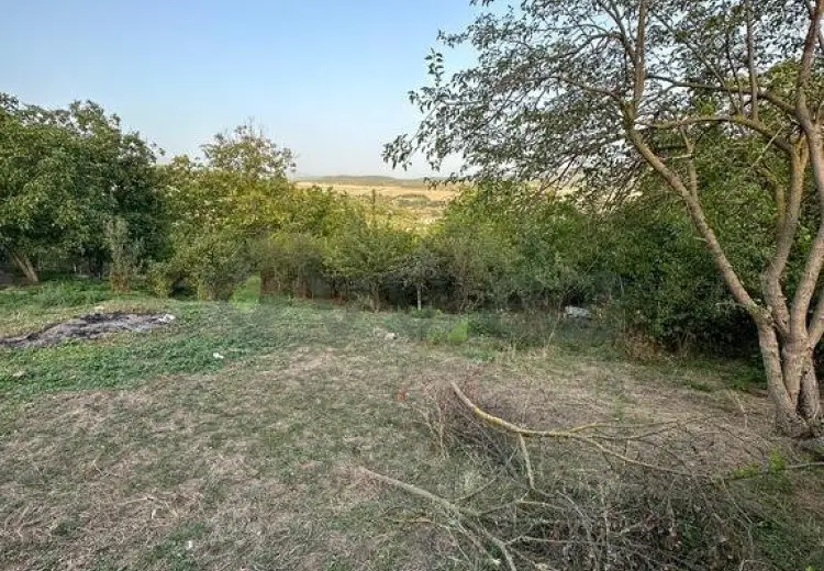 22 sot Torpaq Satılır, Şabran