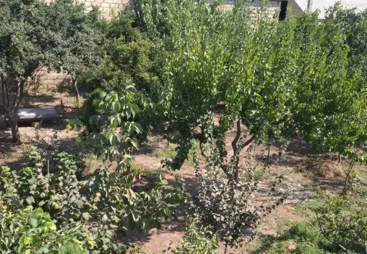 3 sot Torpaq Satılır, Xırdalan
