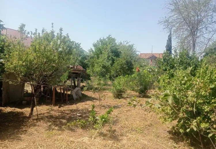 10 sot Torpaq Satılır, Bərdə