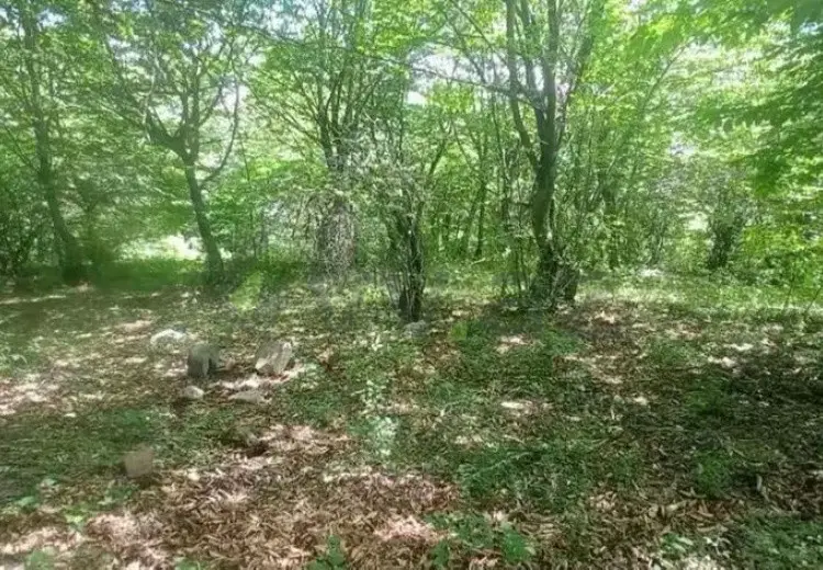 12 sot Torpaq Satılır, İsmayıllı