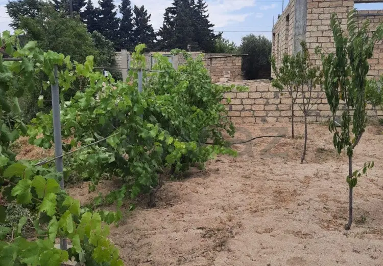 10 sot Torpaq Satılır, Novxanı, Abşeron