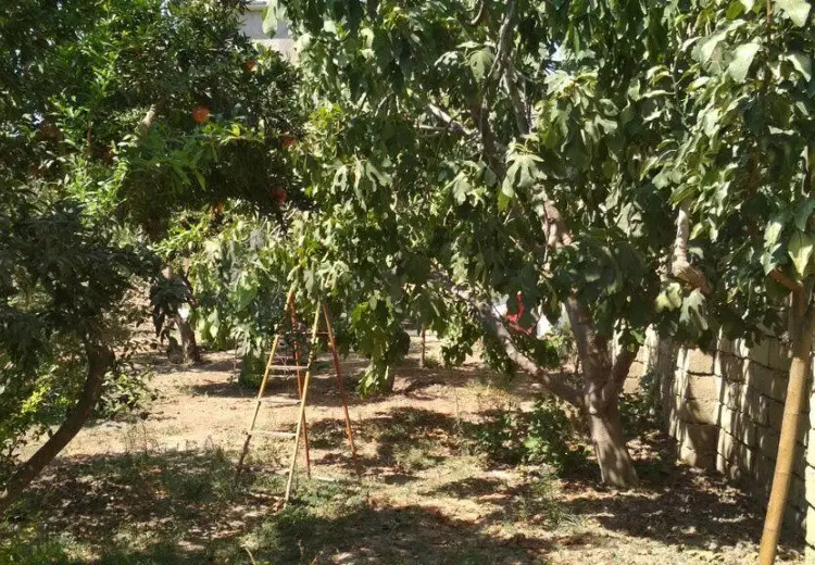 3 sot Torpaq Satılır, Xırdalan