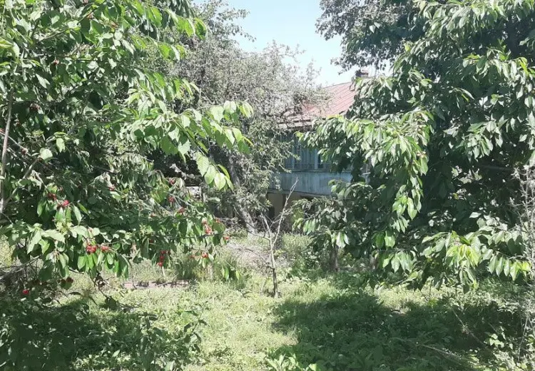 3 otaqlı mənzil Satılır, Qusar