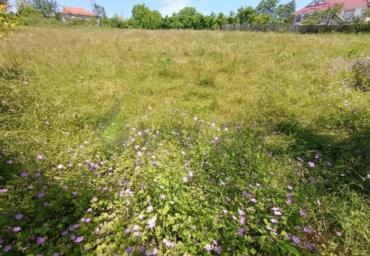 20 sot Torpaq Satılır, Qusar