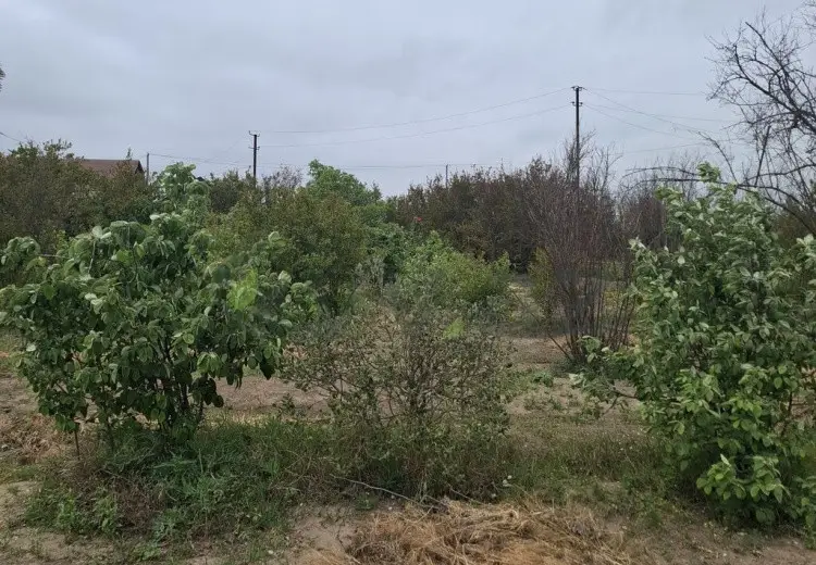 2 otaqlı mənzil Satılır, Gəncə