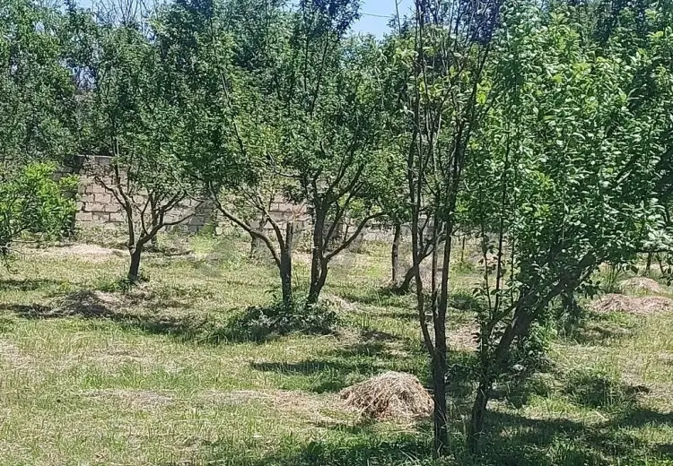 19 sot Torpaq Satılır, Göyçay