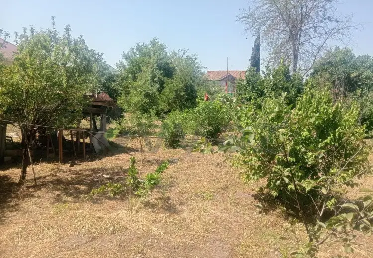 10 sot Torpaq Satılır, Bərdə