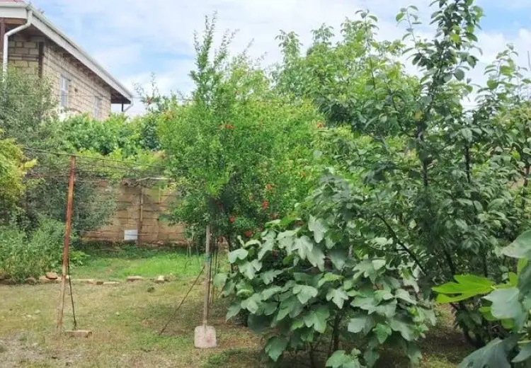4 otaqlı mənzil Satılır, Gəncə