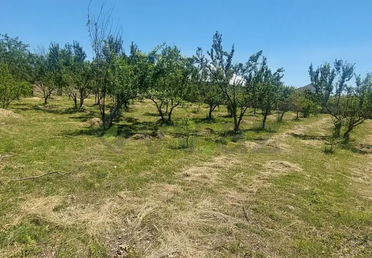 19 sot Torpaq Satılır, Göyçay