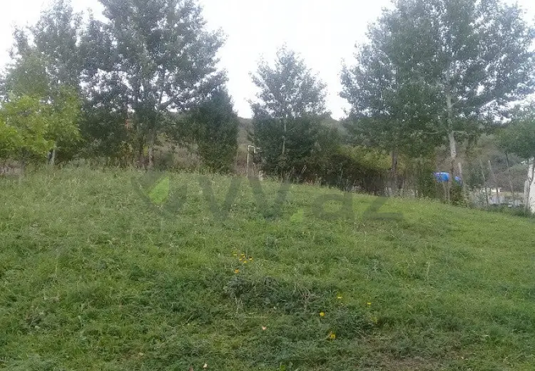 16 sot Torpaq Satılır, İsmayıllı