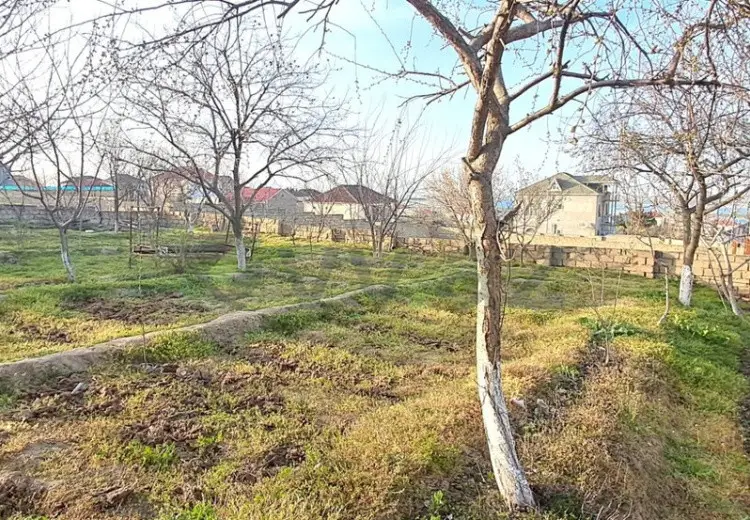 3 sot Torpaq Satılır, Atyalı, Abşeron