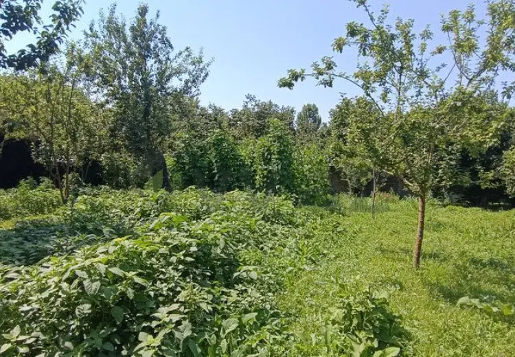 15 sot Torpaq Satılır, Qəbələ