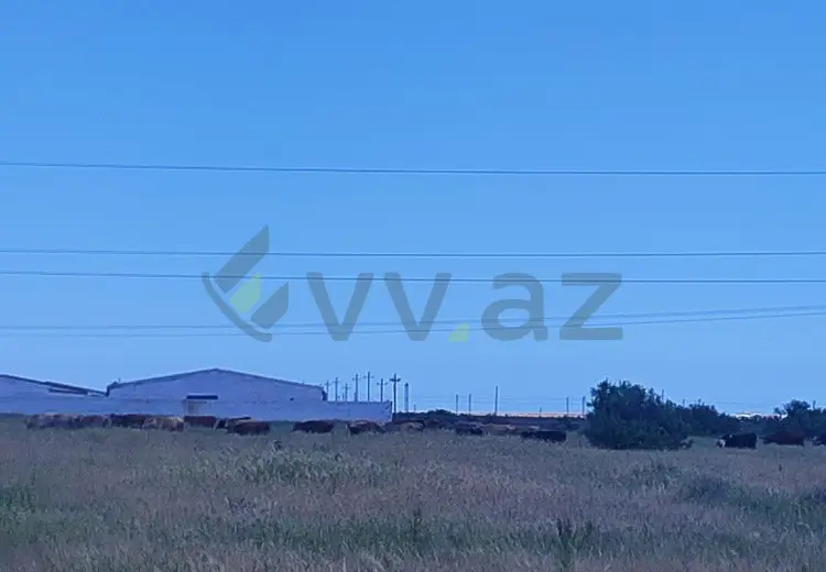 350 sot Torpaq Satılır, Xızı