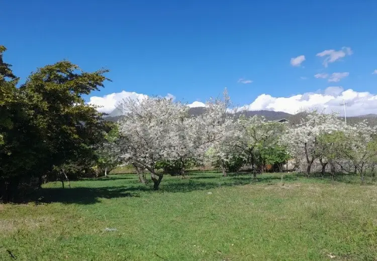 14 sot Torpaq Satılır, Zaqatala