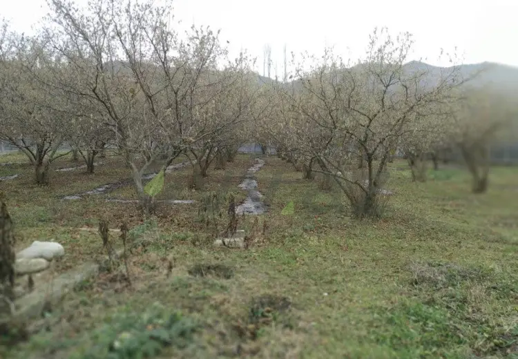 3 otaqlı mənzil Satılır, Qusar