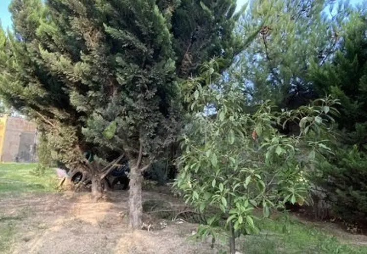 12 sot Torpaq Satılır, Albalı qəs., Sabunçu, Bakı