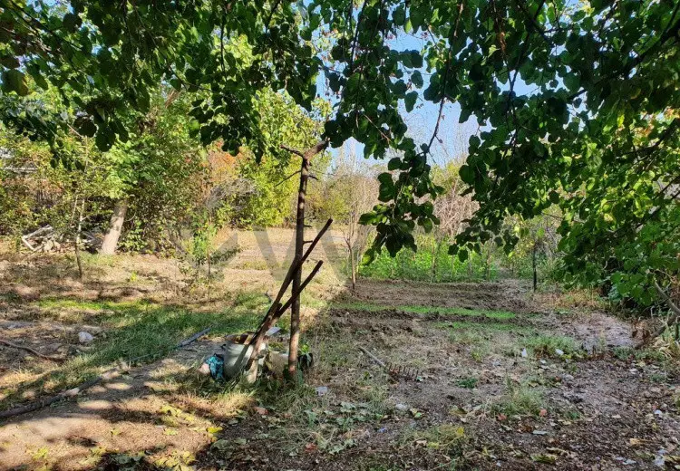 6 sot Torpaq Satılır, Mingəçevir