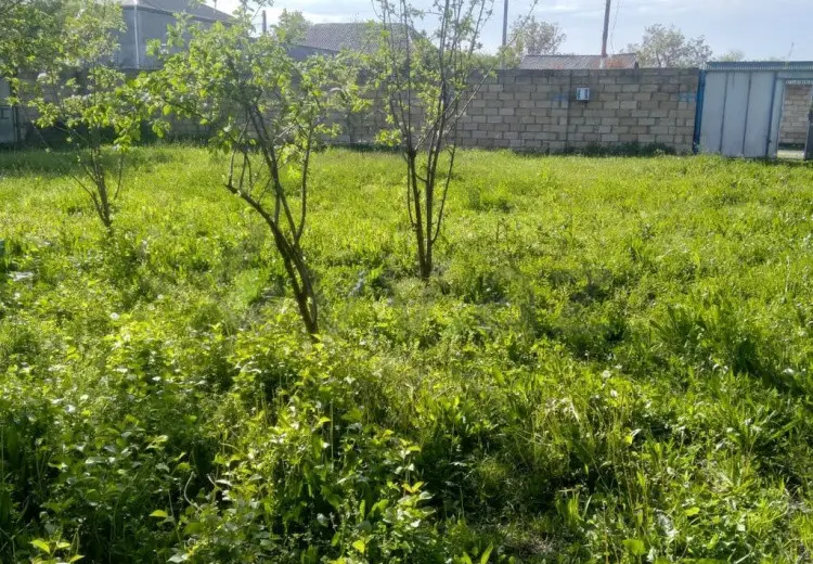 10 sot Torpaq Satılır, Qax