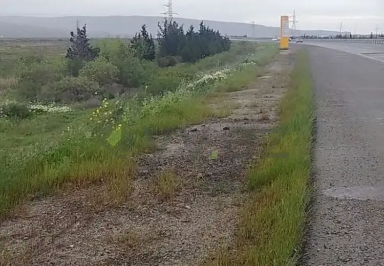 337 sot Torpaq Satılır, Ələt qəs., Qaradağ, Bakı