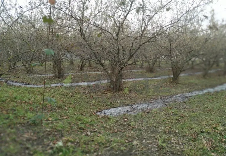 3 otaqlı mənzil Satılır, Qusar