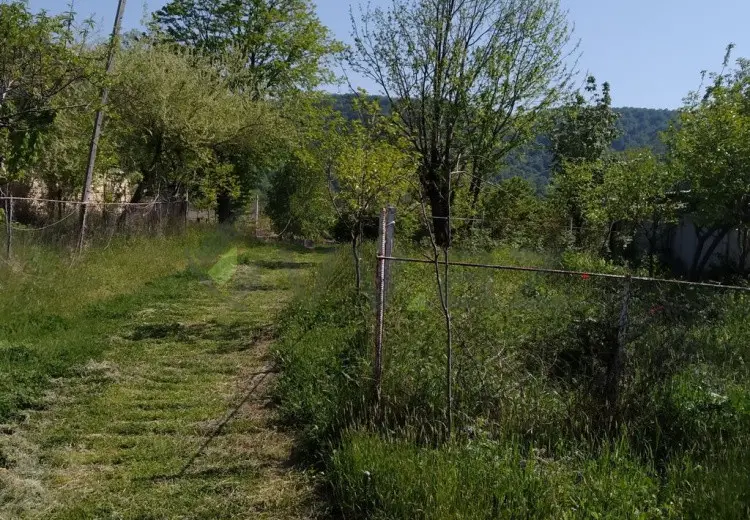18 sot Torpaq Satılır, Balakən