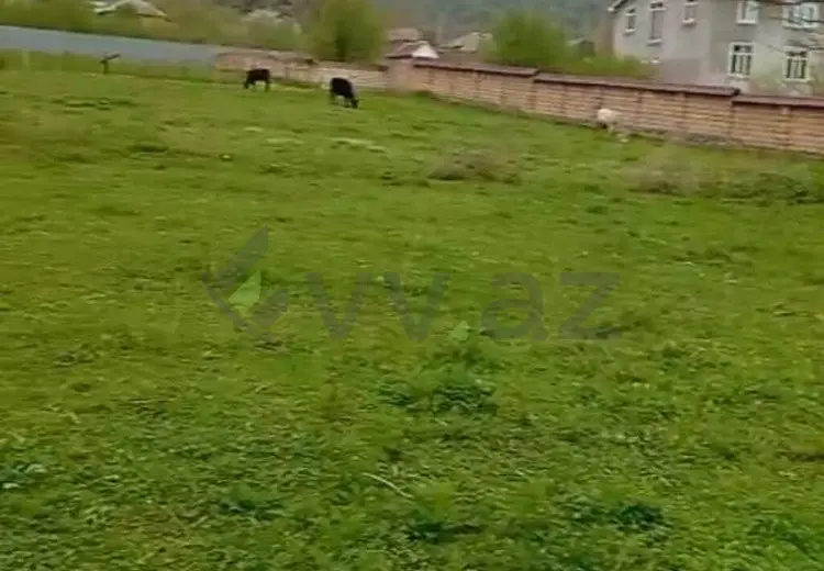 12 sot Torpaq Satılır, Qəbələ