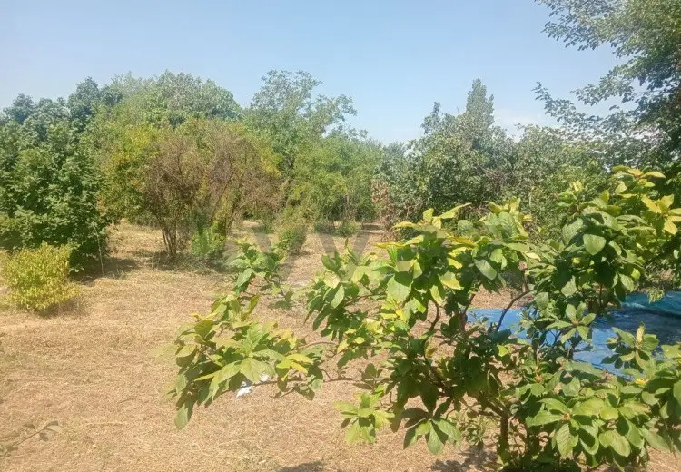 10 sot Torpaq Satılır, Bərdə