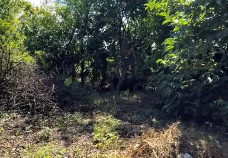 7 sot Torpaq Satılır, Bərdə