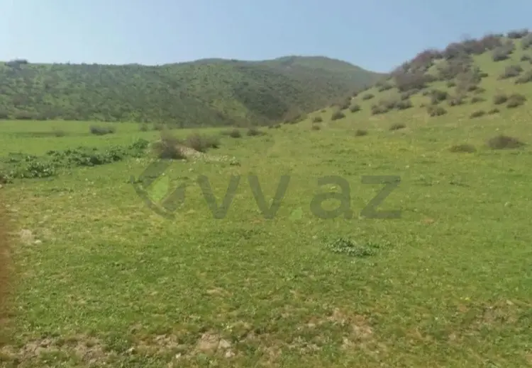 19 sot Torpaq Satılır, İsmayıllı