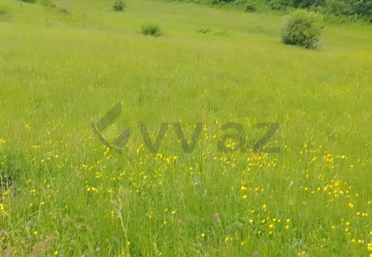 125 sot Torpaq Satılır, Quba