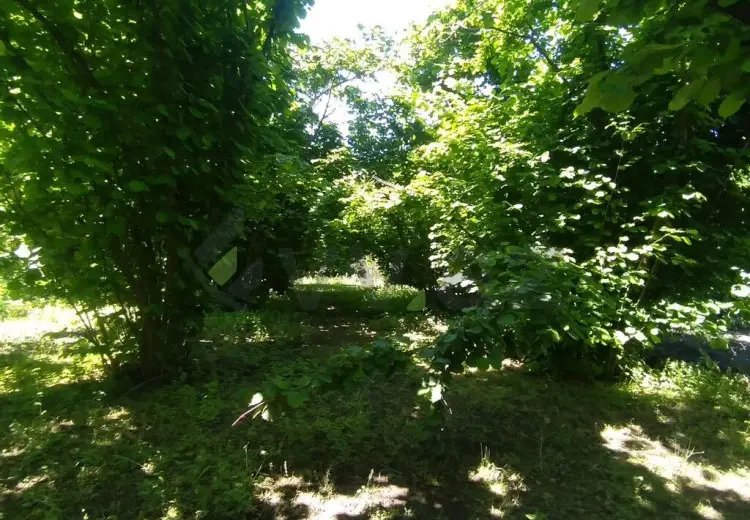 20 sot Torpaq Satılır, Oğuz