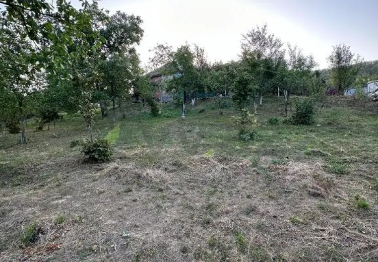 22 sot Torpaq Satılır, Şabran