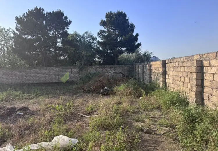 6 sot Torpaq Satılır, Novxanı, Abşeron
