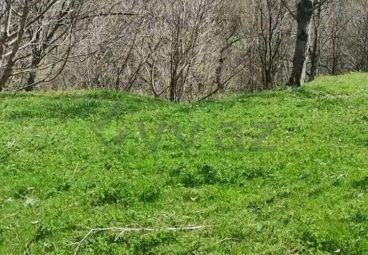 32 sot Torpaq Satılır, Tovuz
